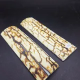 Écaille de mammouth miniature 5