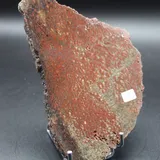 Os de dinosaure rouge miniature 2