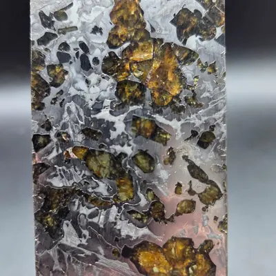meteorite seymchan pallasite