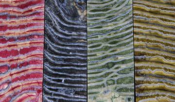 Chez Stone and Bone un grand choix de couleurs