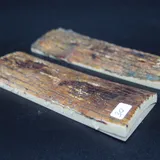 Écaille de mammouth miniature 3