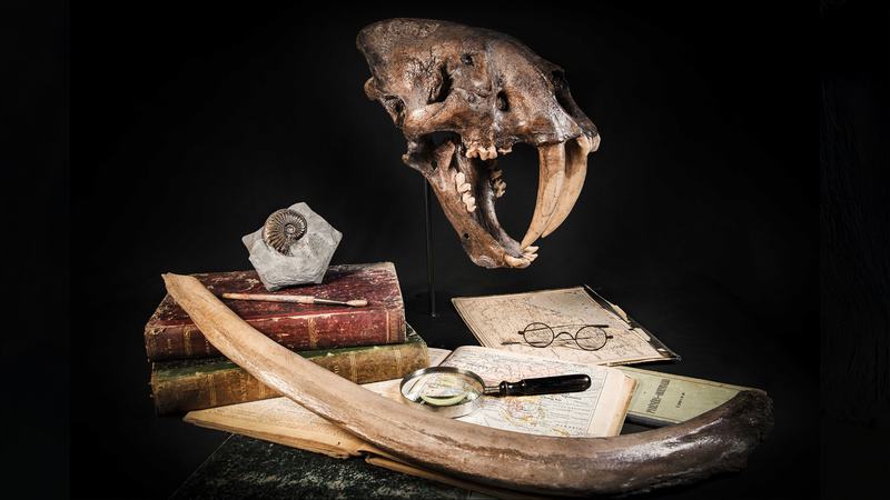 fond-slider-stone-and-Bone-aventure