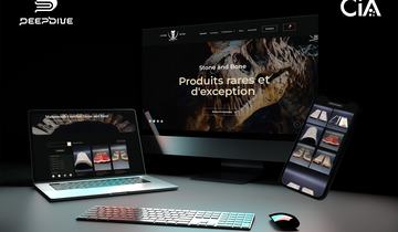 Lancement du site Stone and Bone : une boutique dédiée aux matières préhistoriques