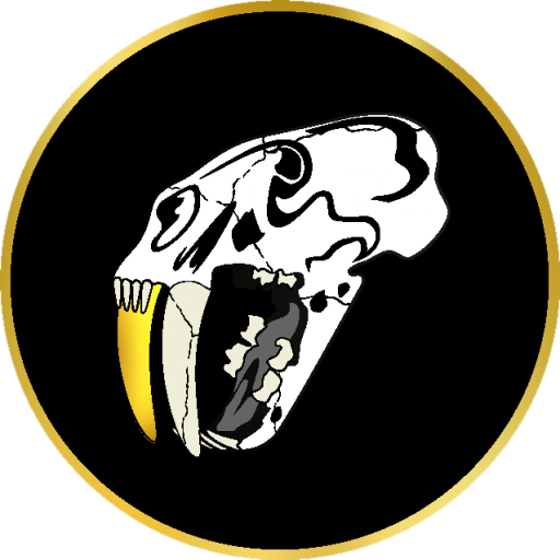 Stone And Bone